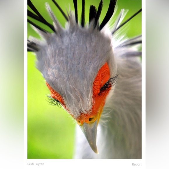 BE THE TREND - Picture 3 of 3